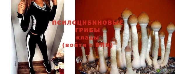 стафф Алексеевка