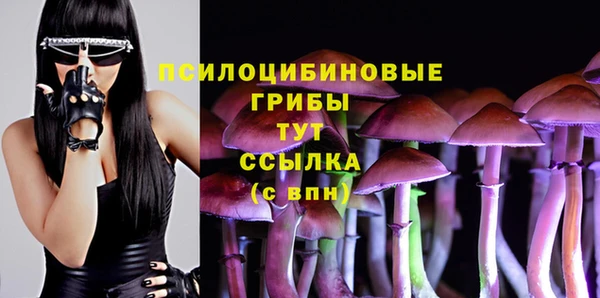 МДМА Алексин